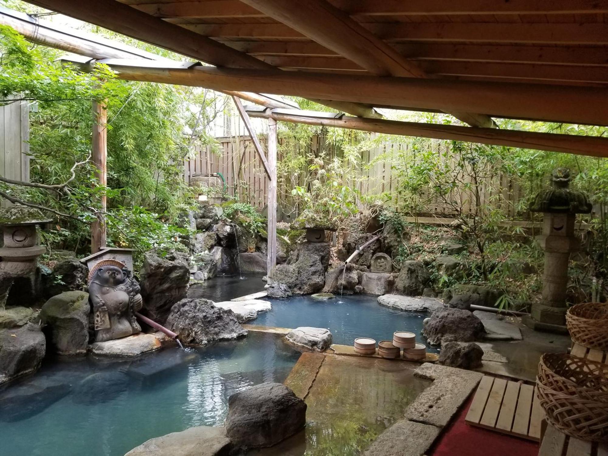Hotel Onyado Hishiya Torazo Yamanouchi  Esterno foto
