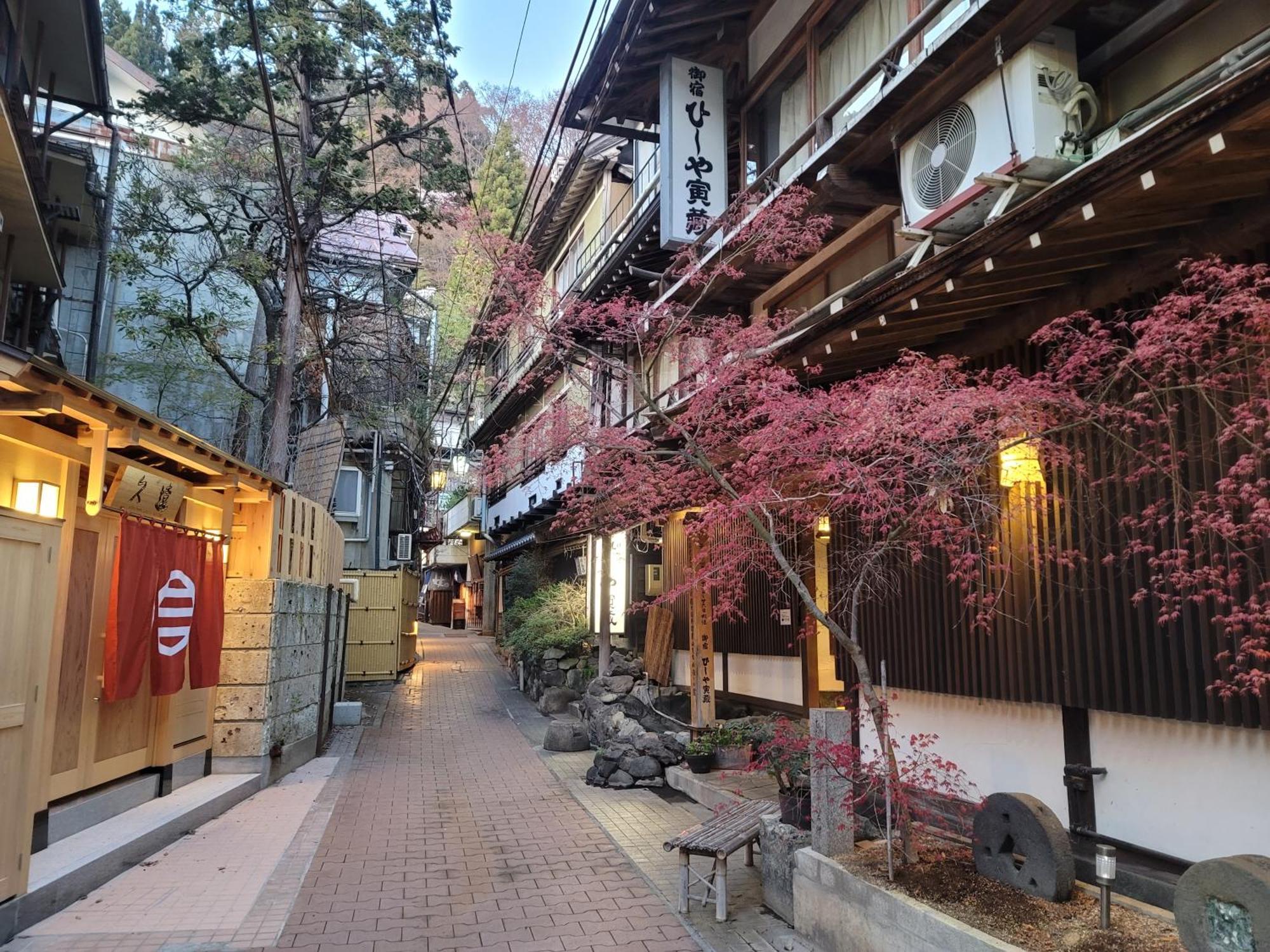Hotel Onyado Hishiya Torazo Yamanouchi  Esterno foto