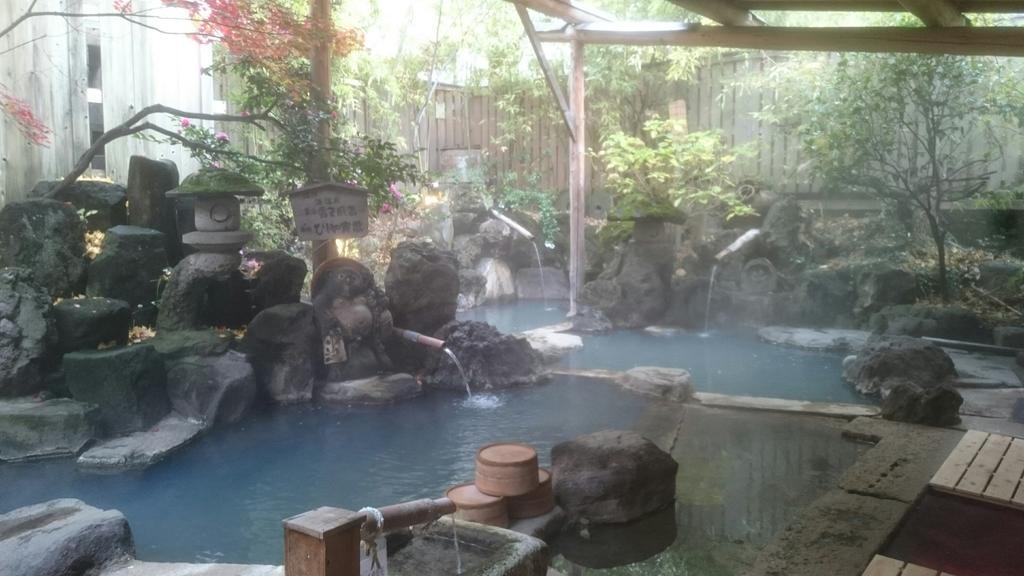 Hotel Onyado Hishiya Torazo Yamanouchi  Esterno foto