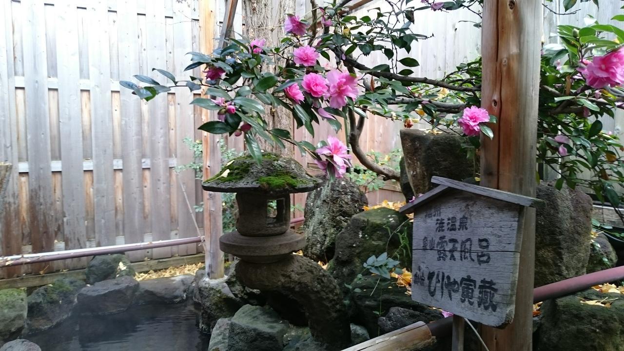 Hotel Onyado Hishiya Torazo Yamanouchi  Esterno foto
